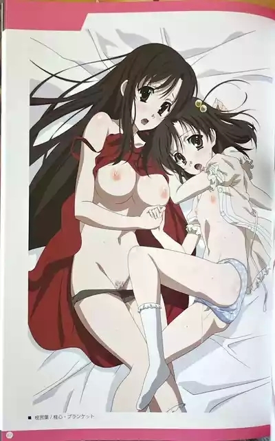 SCHOOLDAYS SERIES COMPLETE BOX Book 3