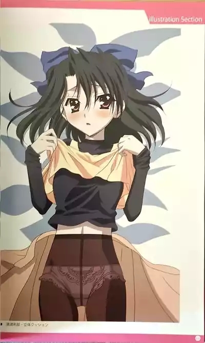 SCHOOLDAYS SERIES COMPLETE BOX Book 8
