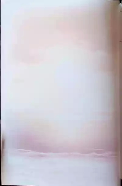 SCHOOLDAYS SERIES COMPLETE BOX  Visual Book 2