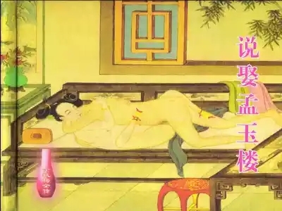 金瓶梅全传 四 说娶孟玉楼 2