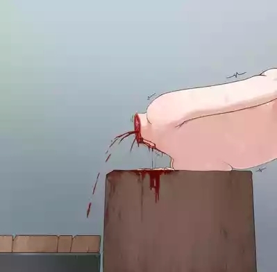 本国の双子姫 10