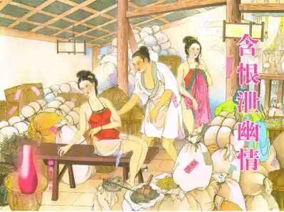 金瓶梅全传 五十 含恨泄幽情 1