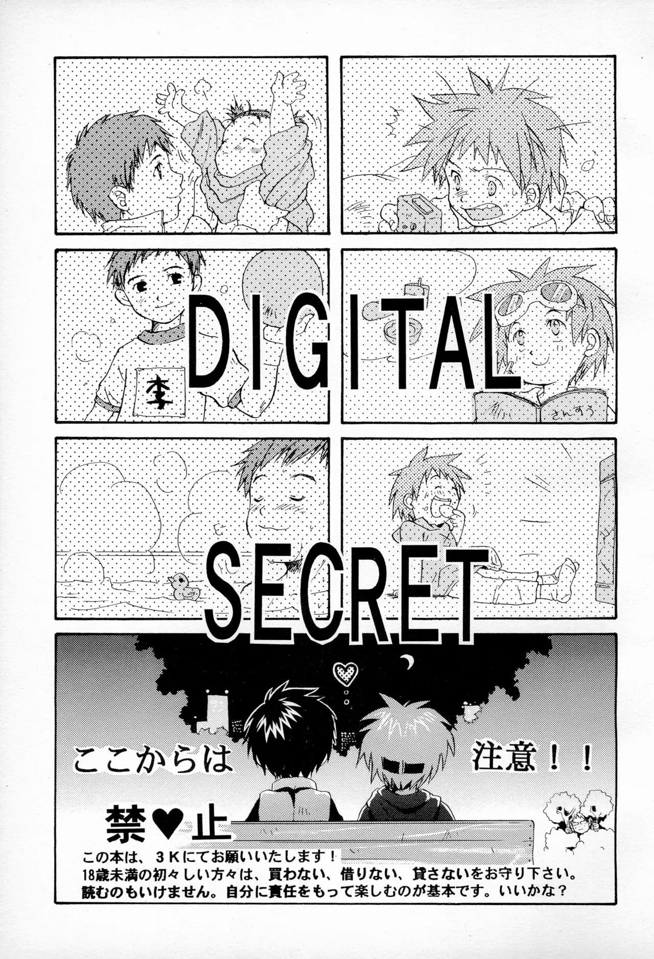 DIGITAL SECRET 2