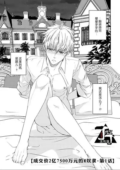 Rakusatsuen no M dorei 1+2 |成交价2亿7500万元的M奴隶 1+2 3