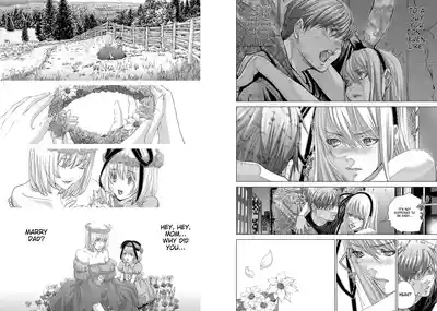 Holy KnightVol. 11 | Holy KnightVol. 11 3