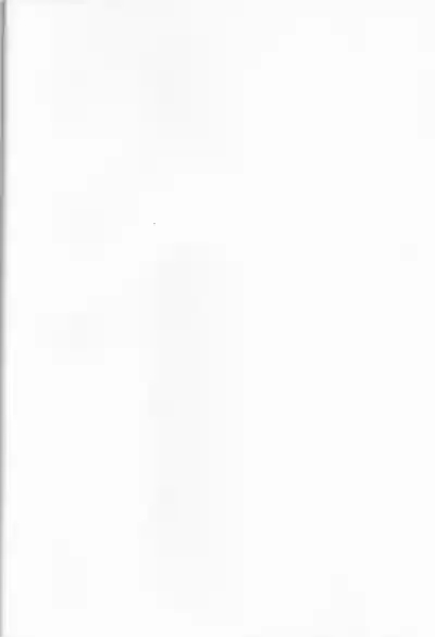 東郷一二三夜の十番勝負 2