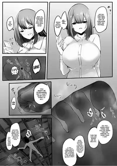 Rental Tinies - Toe Service 6