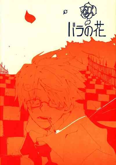 バラの花 1