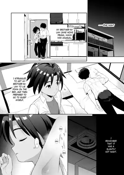 Boku wa ane no otto o NTR tte shimaimashita 3