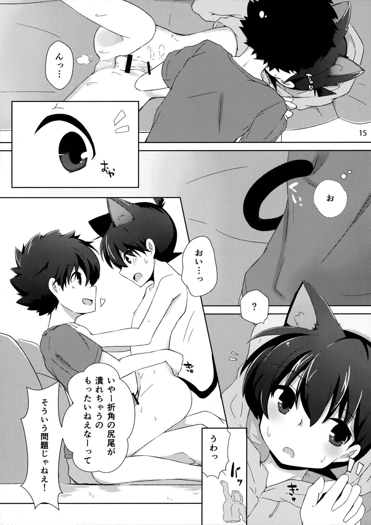 cat fancier 13