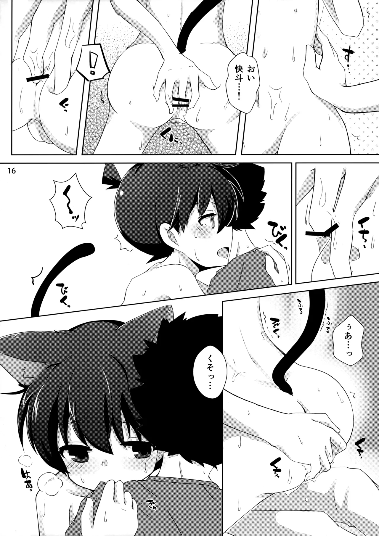 cat fancier 14