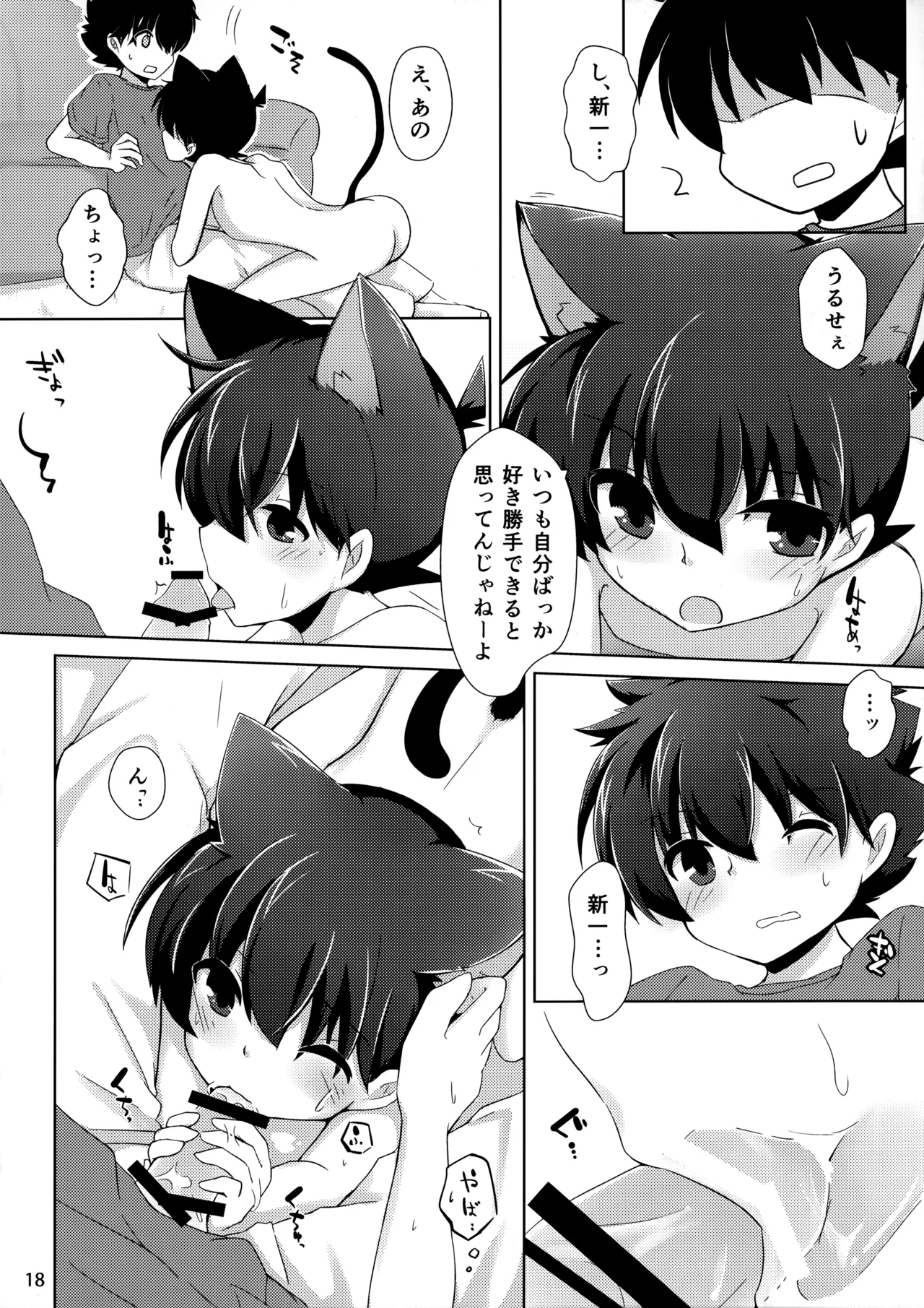 cat fancier 16