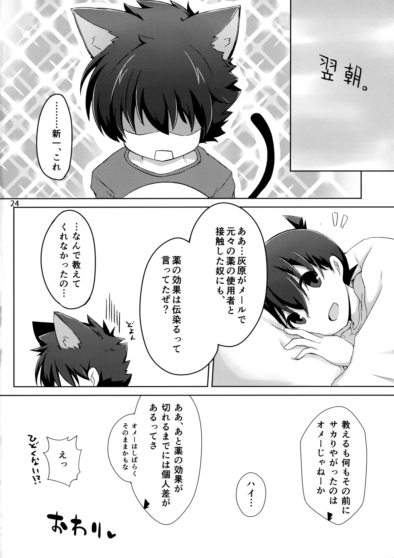 cat fancier 22