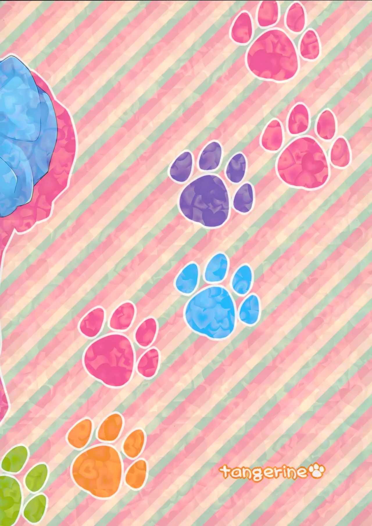 cat fancier 25