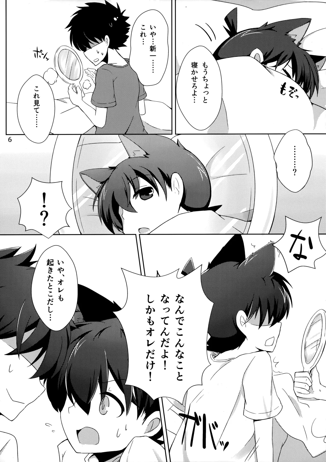 cat fancier 4