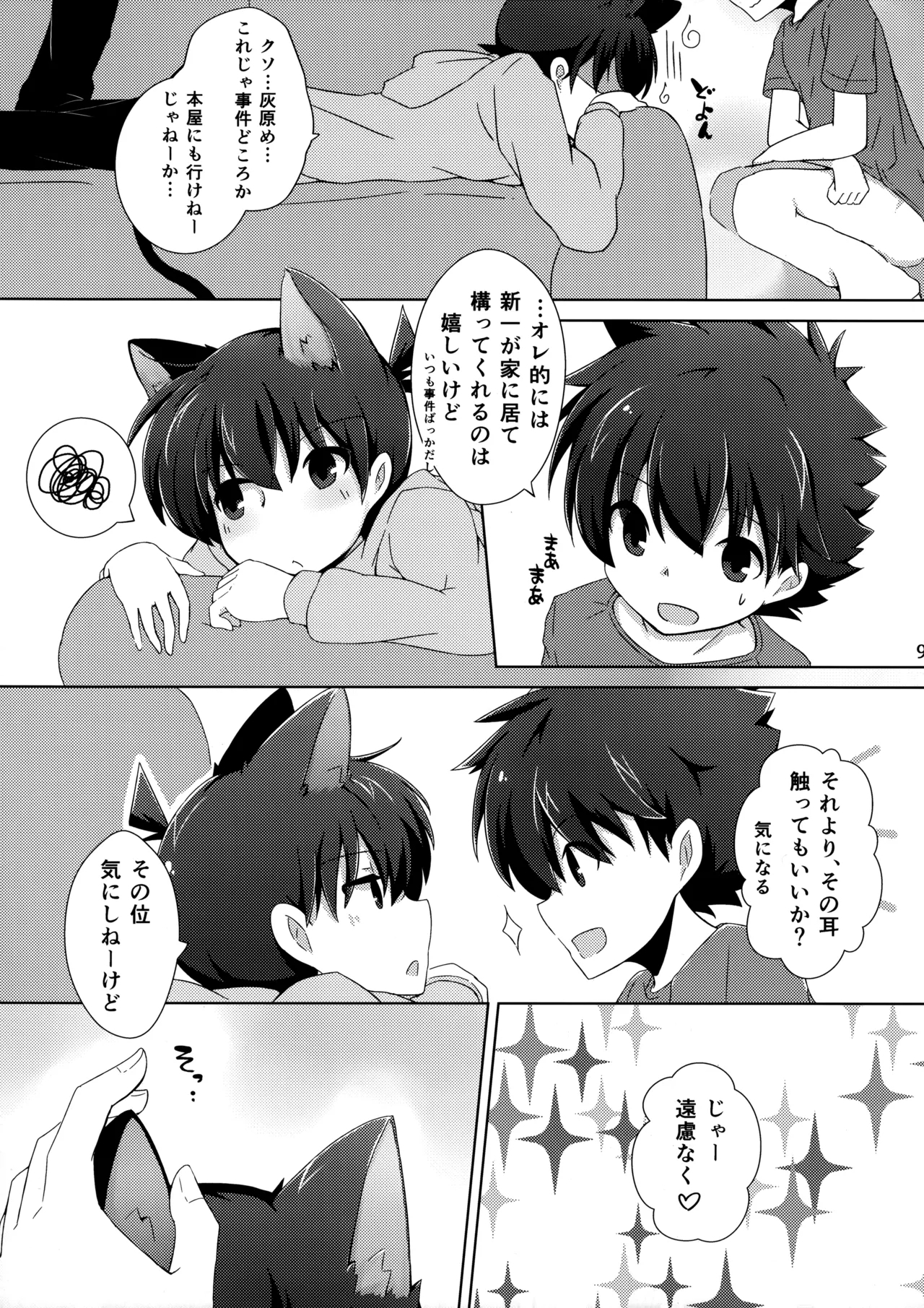 cat fancier 7