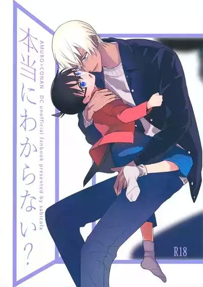 Hontou ni Wakaranai? 1