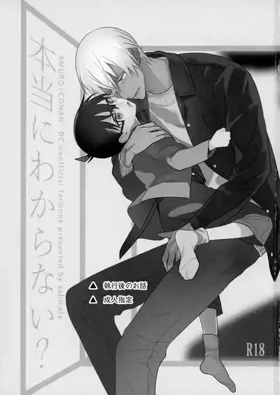 Hontou ni Wakaranai? 2