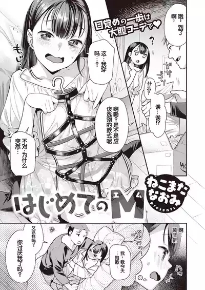 はじめてのM 1