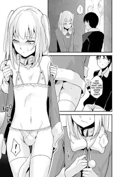 Chincopation 9