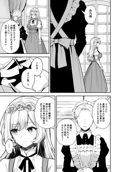 隷嬢の小夜曲 第二楽章 9