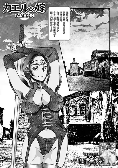 カエルの嫁。 1