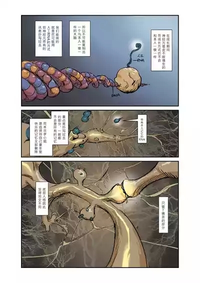 Mirror Baby-Container of Masochistic Desire 5