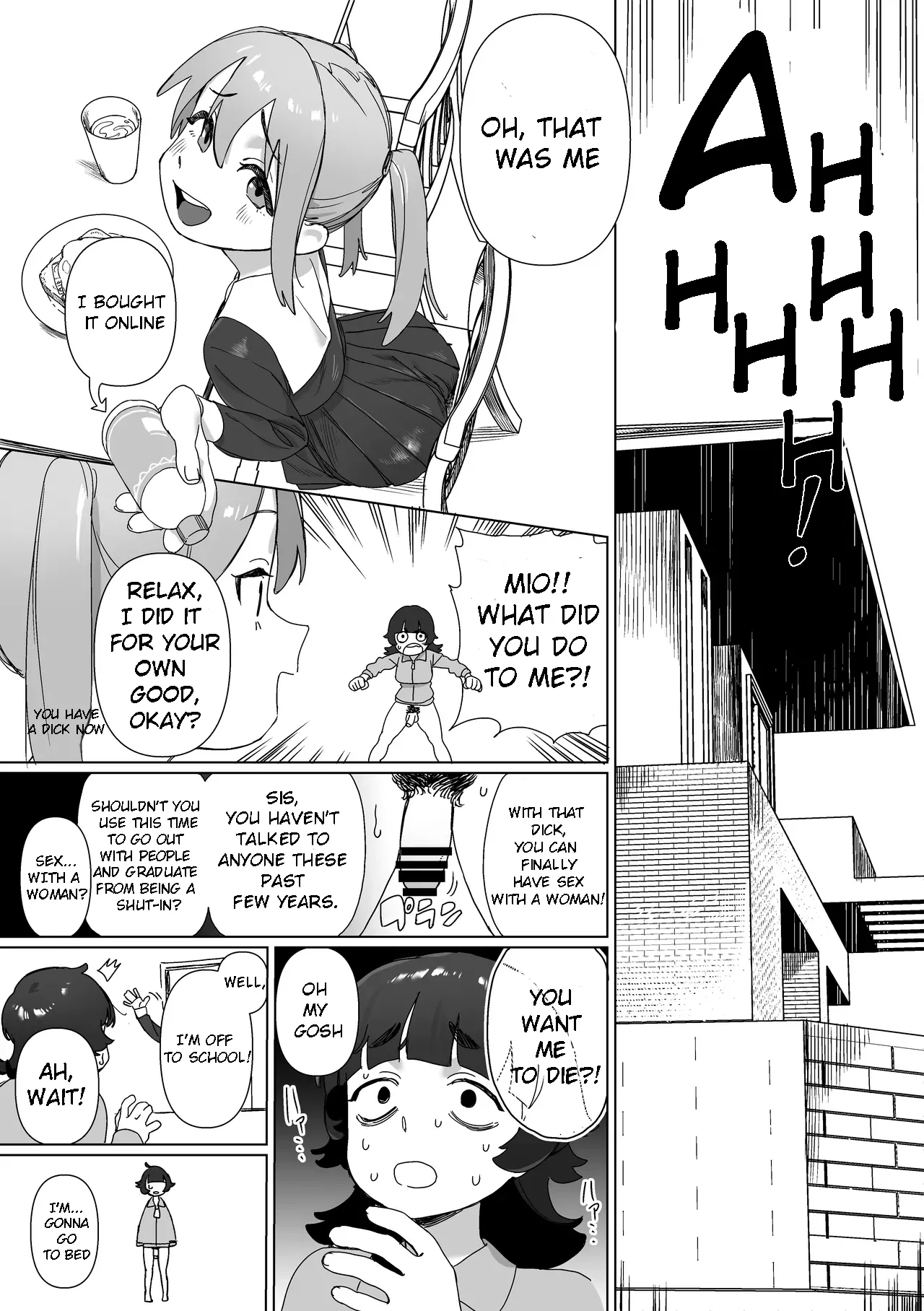 Hikikomori no Ane ni Chinchin ga Haetara | What if My Shut-in Sister Grows a Penis? - Page 4