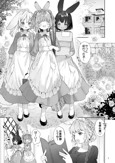 Usamimimaid to koibitoH 2