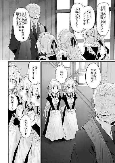 Hatsukoi Maidsama ni Choukyou Sarenai riyu ga nai~ 8