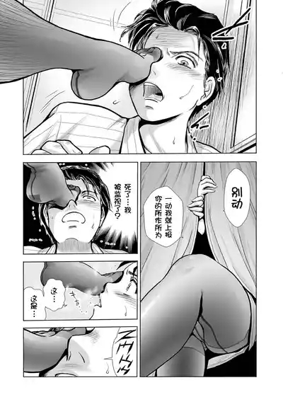PanSto Shoumei Shashin 6