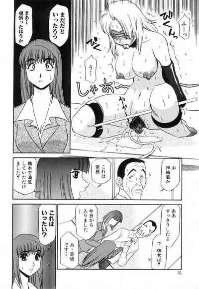 Hisho No Oshigoto 10
