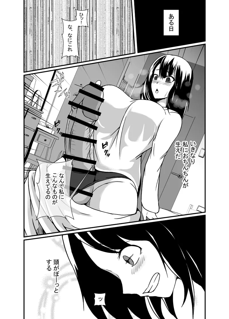 メスガキわからせふたなりお姉ちゃん - Page 4