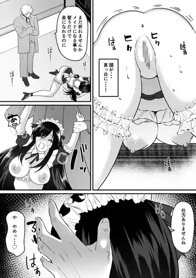 TS Gohoushi Maid 9