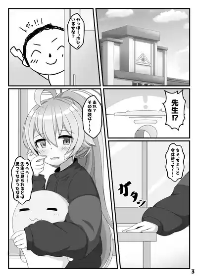 Hoshino wa, Honto ni Kawaii!! 2