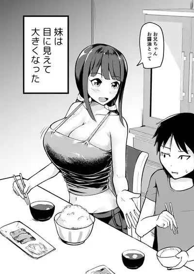 Kyuuseichoushita Dekkai Imouto ni Onnanoko ni Sareta Ani 4