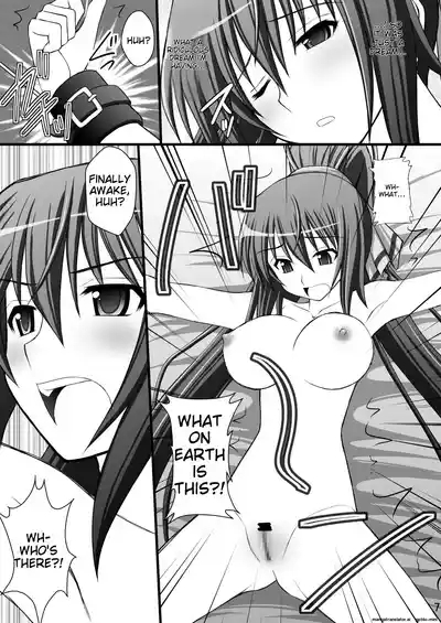 Ichika no Choukyou Nisshi II 3