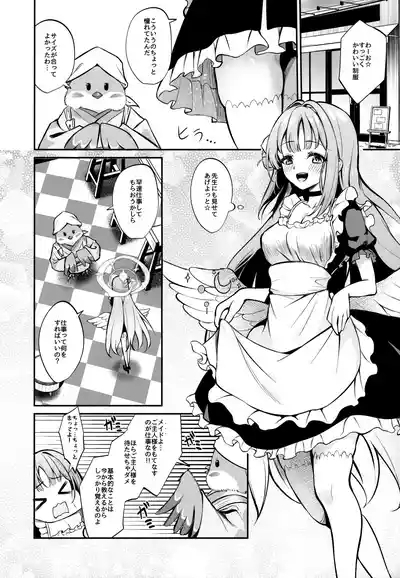 Misono Houshi 4