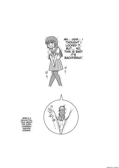 Sakura Kotaka no Roshutsubiyori 3 4