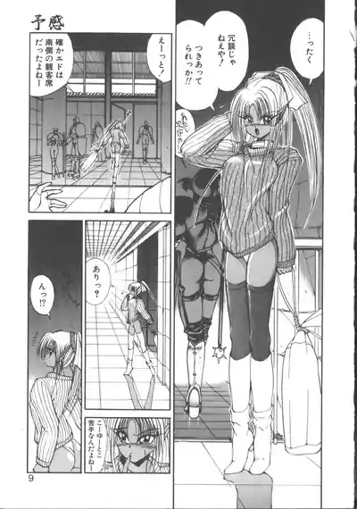 DARK WIRBEL Konran-hen 10