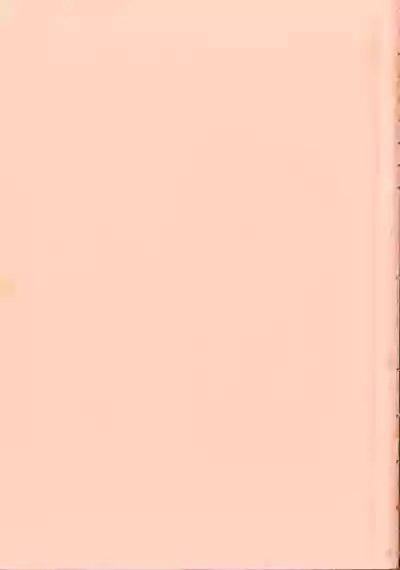 DARK WIRBEL Konran-hen 4