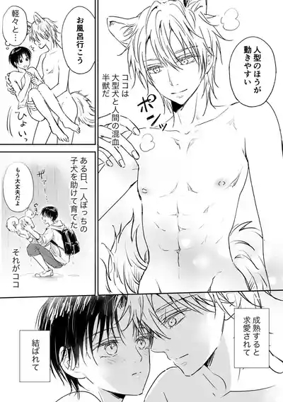 Koi suru Mofu Mofu 3