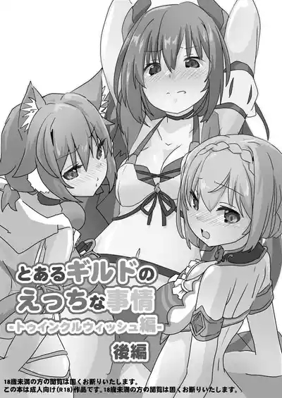 Toaru Guild no Ecchi na Jijouhen - Kouhen 2
