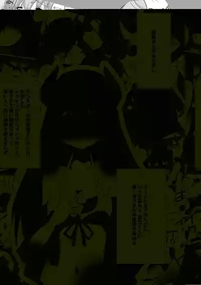 Toaru Guild no Ecchi na Jijouhen - Kouhen 4