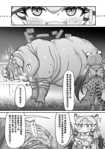 Geoff to Buta-san | 乔氏猫与猪先生 5