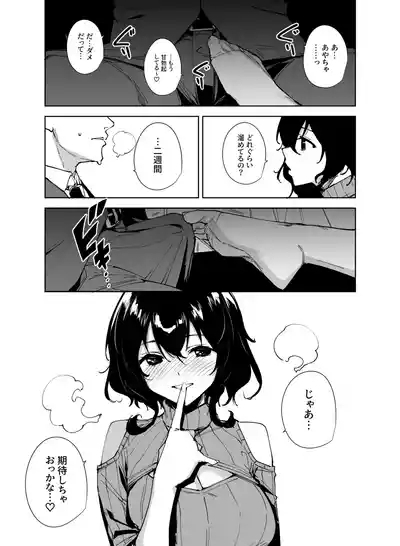 Hikoukai Sub Plan 2 4