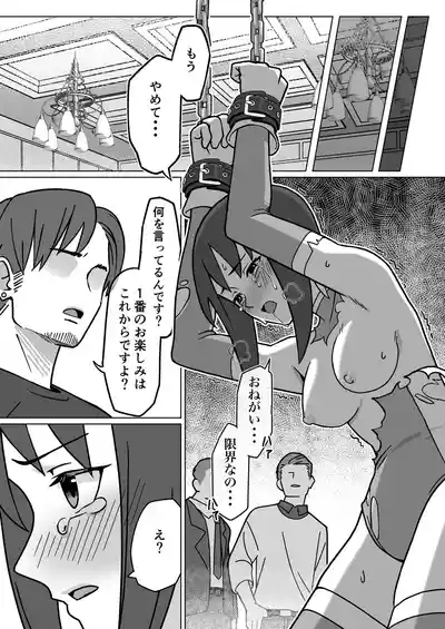 聖騎天翔ブルーアイリス2 10