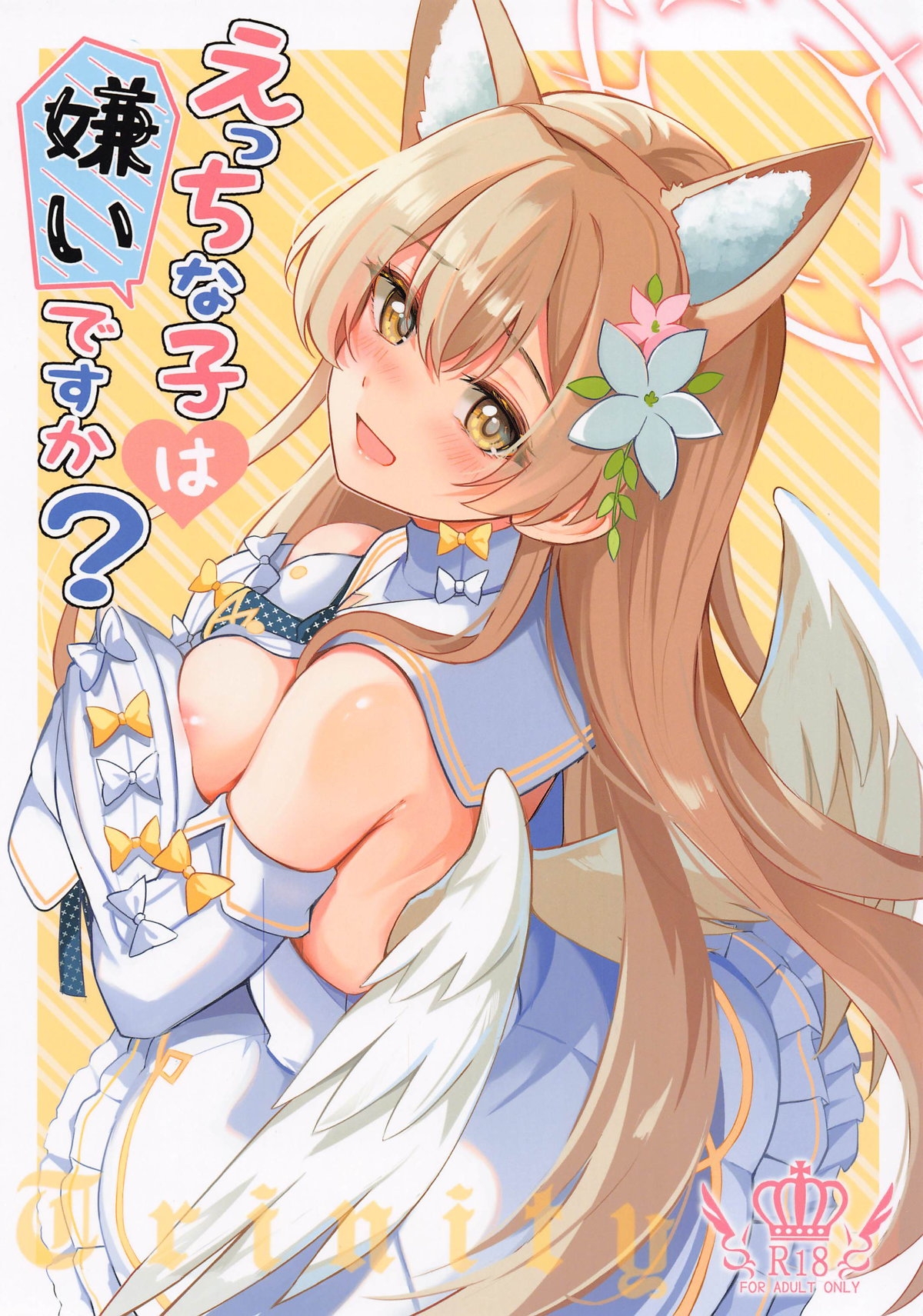 Ecchi na Ko wa Kirai desu ka? - Page 1