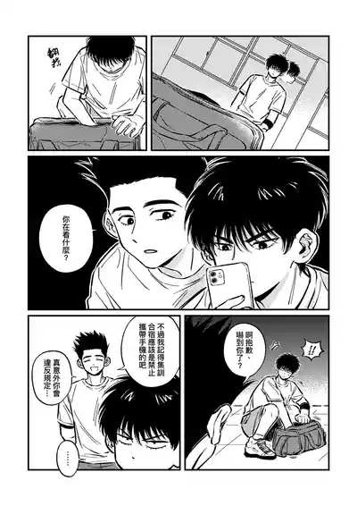 hush-hush 5