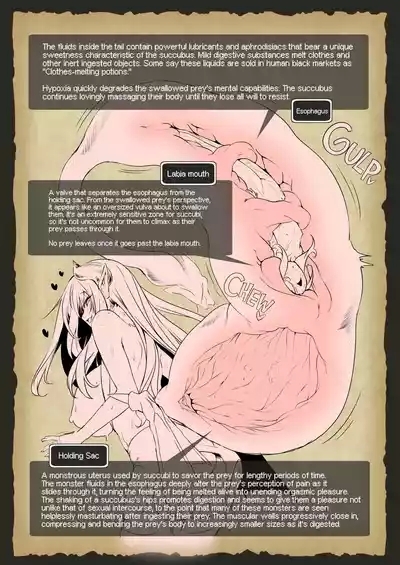 The Adventurer's Guide to Monsters Succubus no Himitsu Kan | The Adventurer's Guide to Monsters - The Succubus's Secrets ❤ 5
